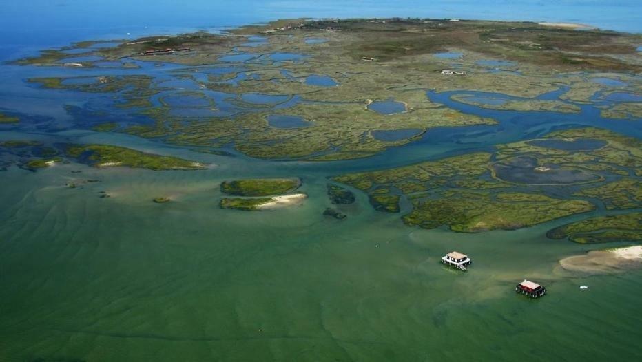 Appartamento Lou Cachotte Le Teich Esterno foto